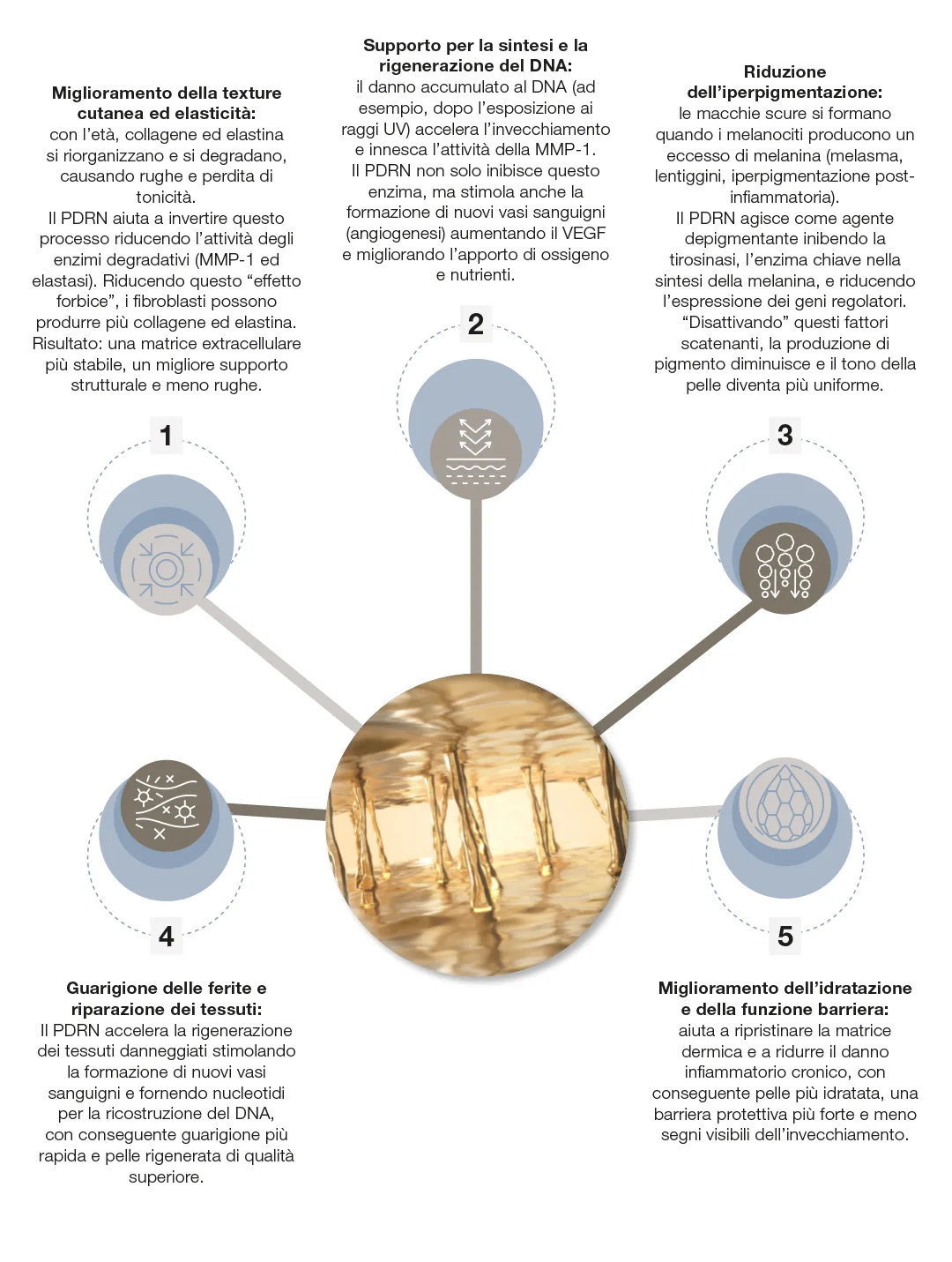 Infografica con i 5 benefici del PDRN